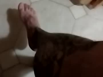 ciccilli