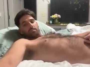 dolphinzluv23