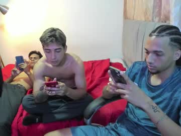 domi master