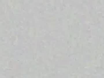 fernandfriends