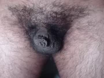 furryassholexx
