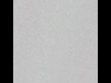 hadamia