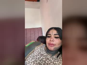 kitty lover1 