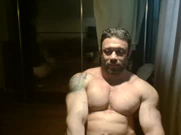 stevebulkzor