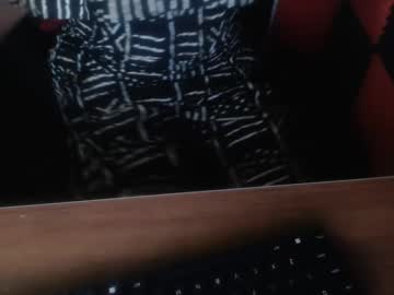 zebradoll